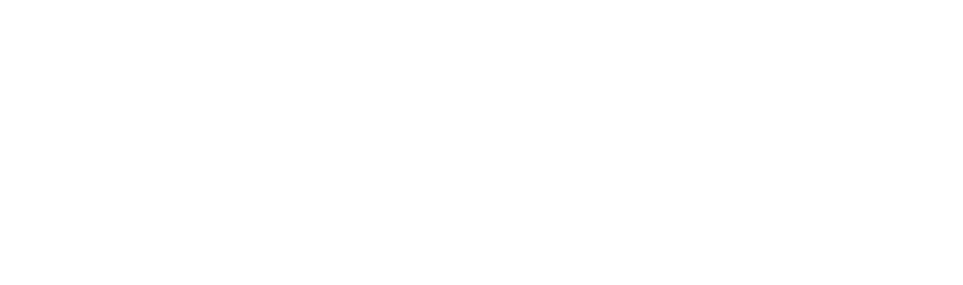 مزرعة فطر زرشيك في العراق